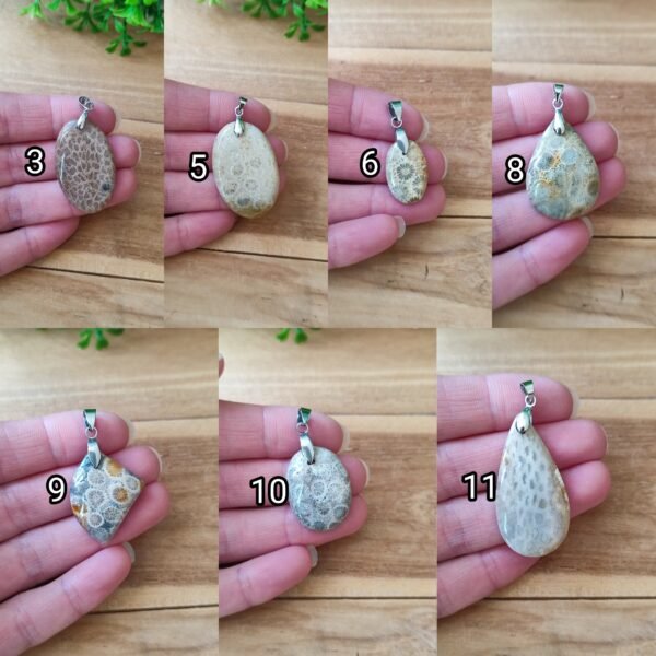 🐚 Pendentif en Corail Fossile – 11 modèles au choix