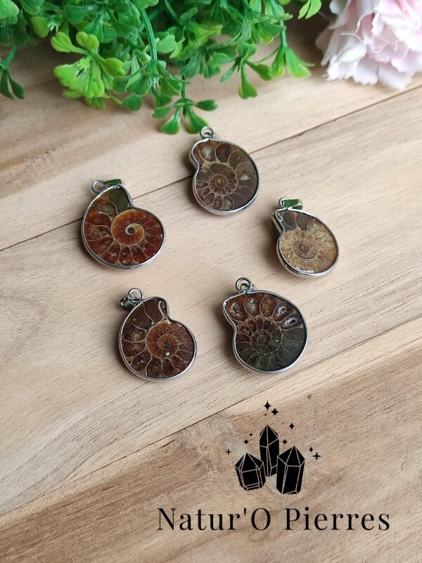 pendentif-ammonite-opalisee