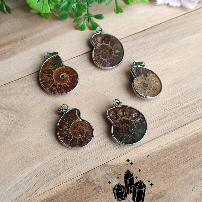 pendentif-ammonite-opalisee