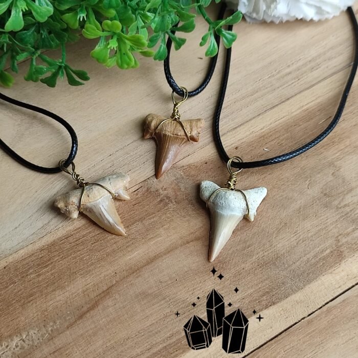 pendentif-dent-requin-fossile