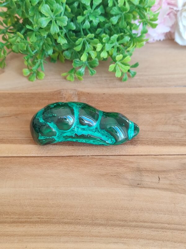 bloc-poli-malachite-modele-02